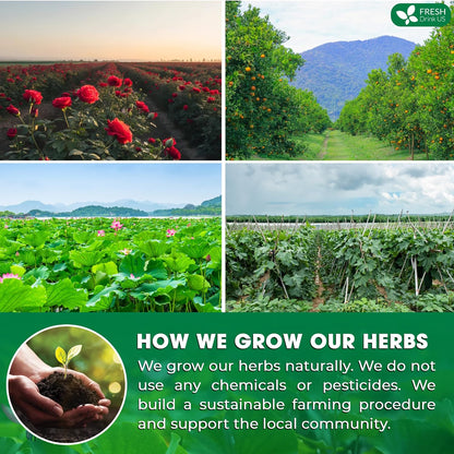 Oil Reducing Tea, Oil Cleansing for Liver, 10 Herbal Ingredients, Traditional Recipe Tea for Liver, 100% Natural, Easy Brewing, Steep Repeatedly (Tea Bags/ Tea Packs)