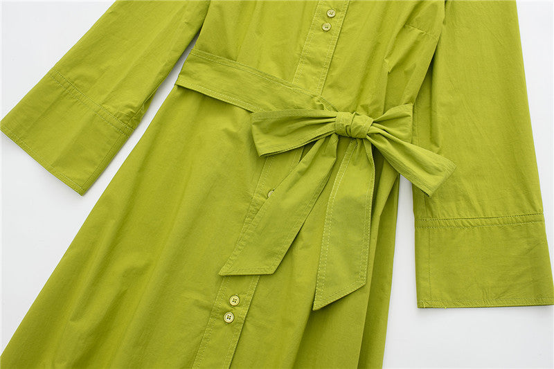 Spring New Women's Embroidered Belt Shirt Dress