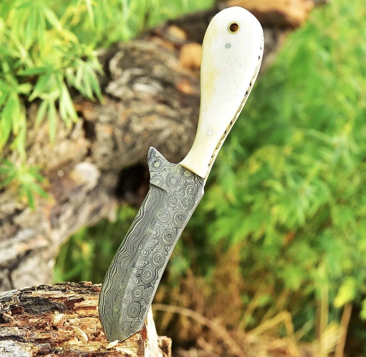 Gareth Bull Shamwari Inspired 8" Handmade Damascus Knife – Camel Bone Handle & Leather Sheath