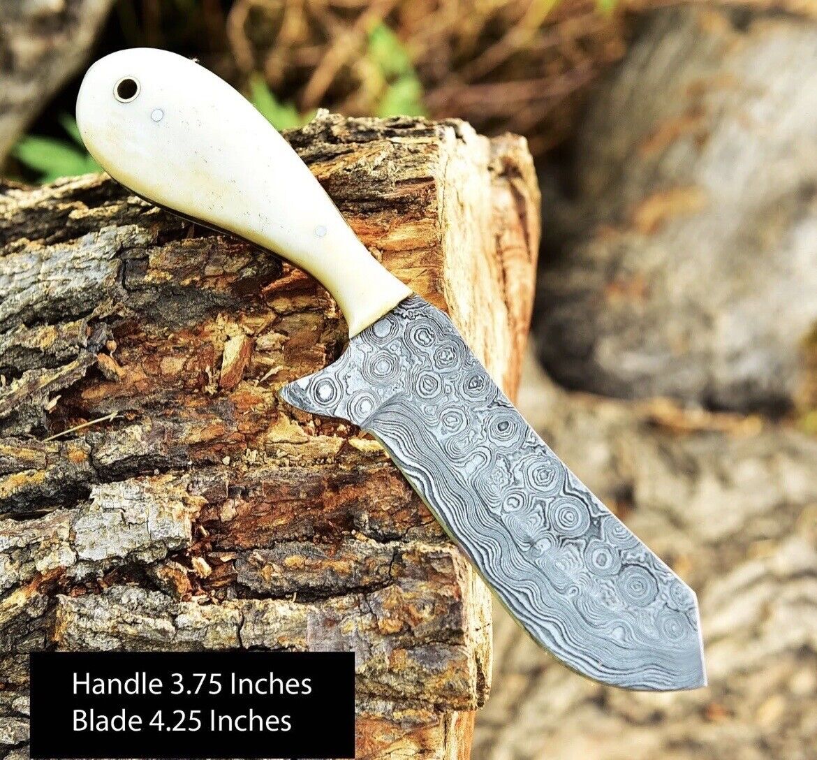 Gareth Bull Shamwari Inspired 8" Handmade Damascus Knife – Camel Bone Handle & Leather Sheath
