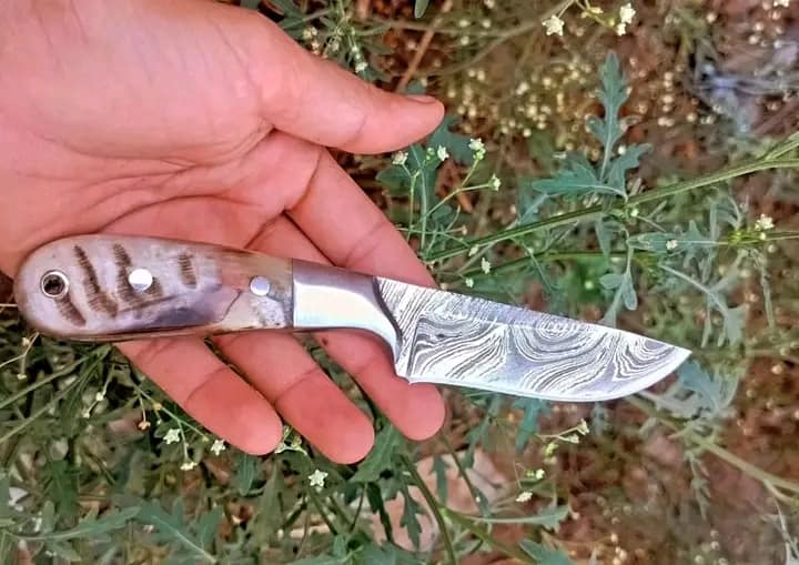 Custom Handmade Damascus Knife in a Belt with Sheep Horn Handle