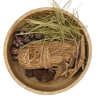 Dark Forest Organic Incense Sticks