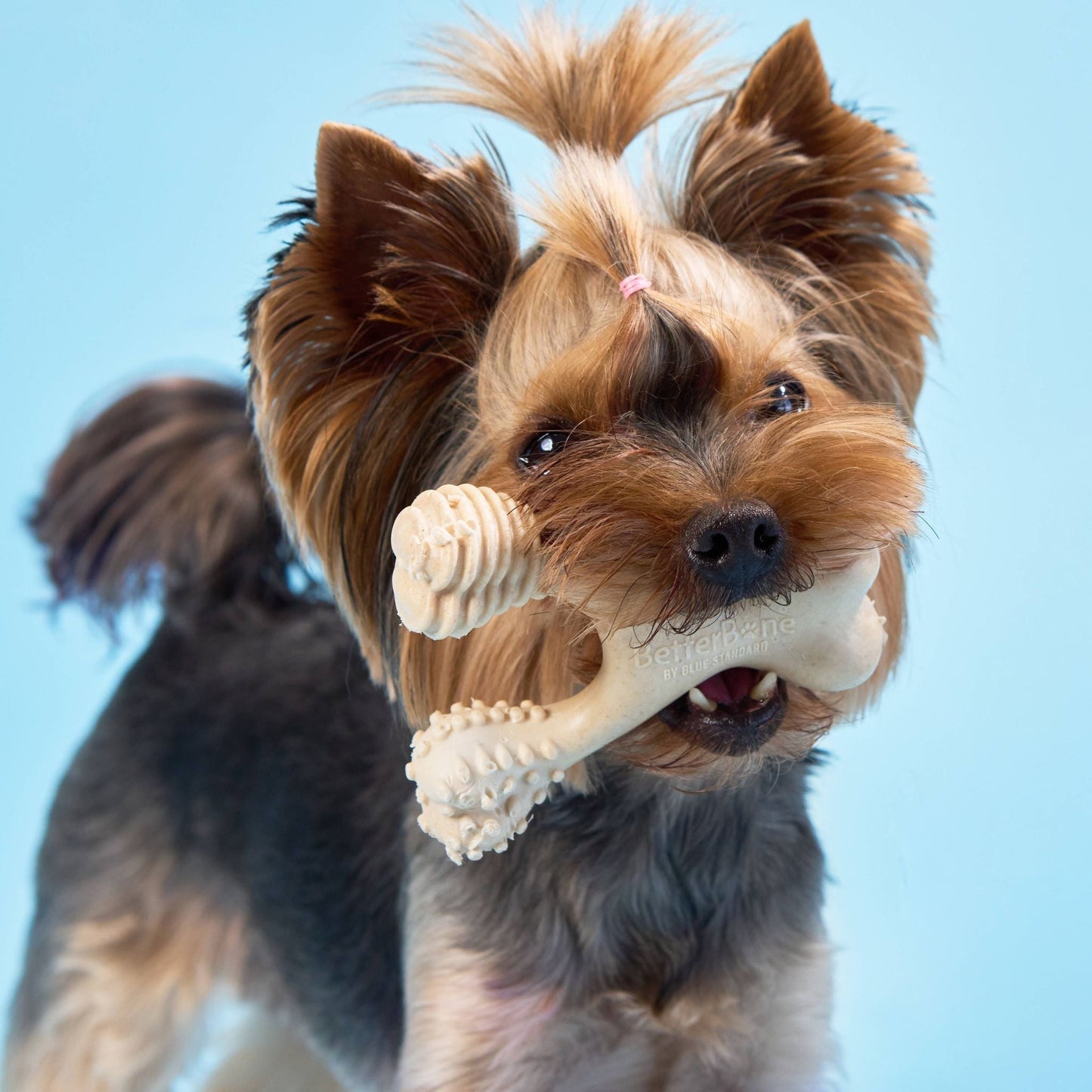 BetterBone SOFT Durability CHEW TOY: Natural Ingredients, Perfet for Teething Puppies, Senior Dogs & Gentle Chewers