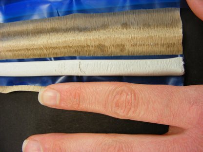 Geo-Tac Mineral and Fossil Mounting Display Putty