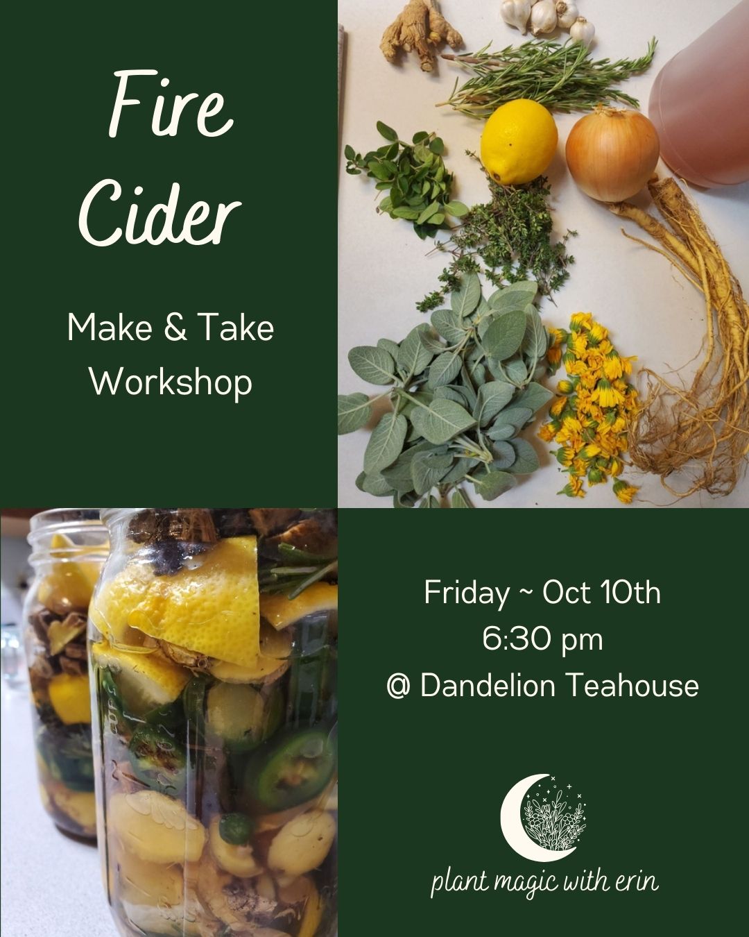 Fire Cider Workshop