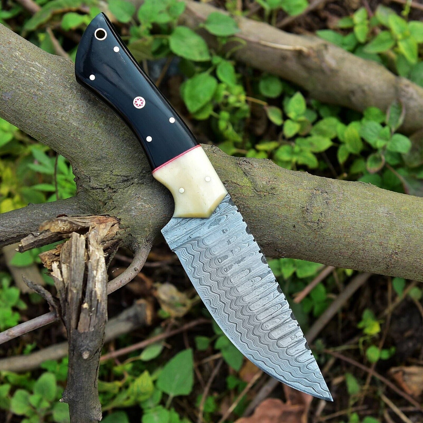 Custom Handmade Skinning Knife - Damascus Steel Blade, Buffalo Horn & Camel Bone Handle