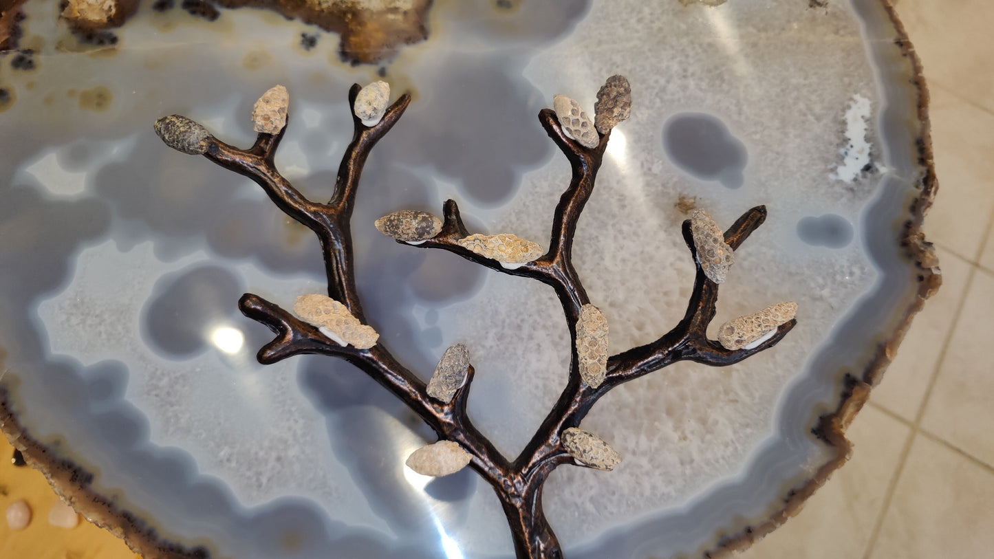 Fossilized Pine Cone 2"