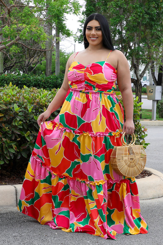 Miss Miami Plus Size Multi Color Dress