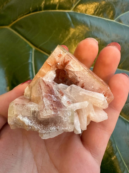 Red Apophyllite Cube (Sm)
