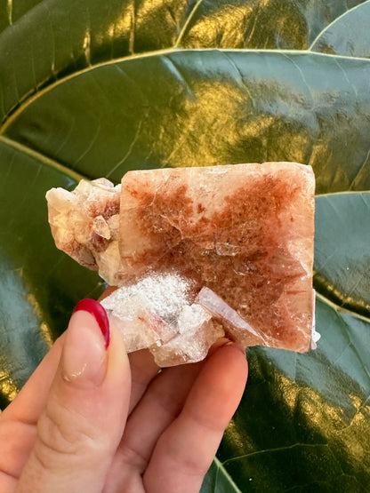 Red Apophyllite Cube (Sm)