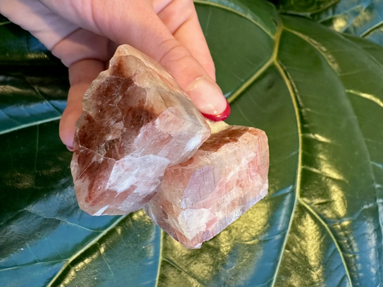 Red Apophyllite Cube (Md) from Pune, India