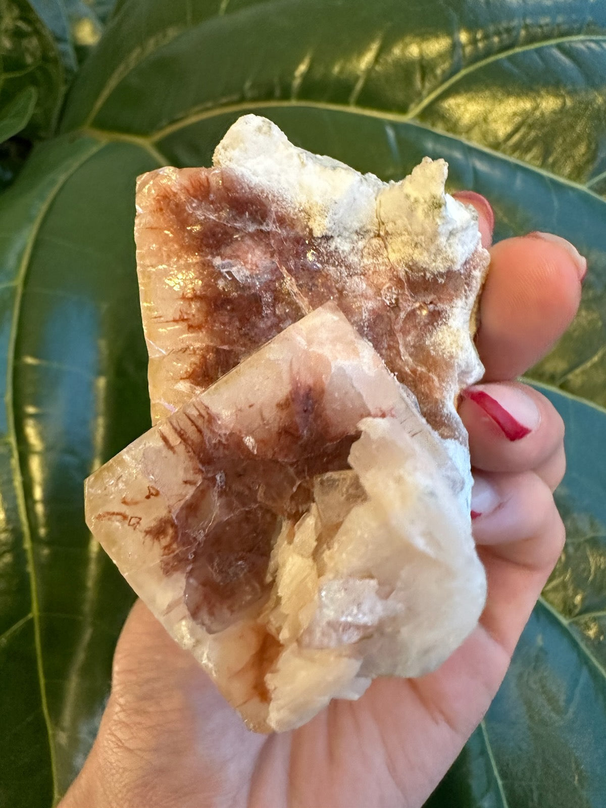Red Apophyllite Cube (Md) from Pune, India
