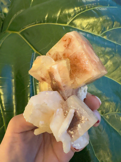 Red Apophyllite Cube on Matrix (Lg)