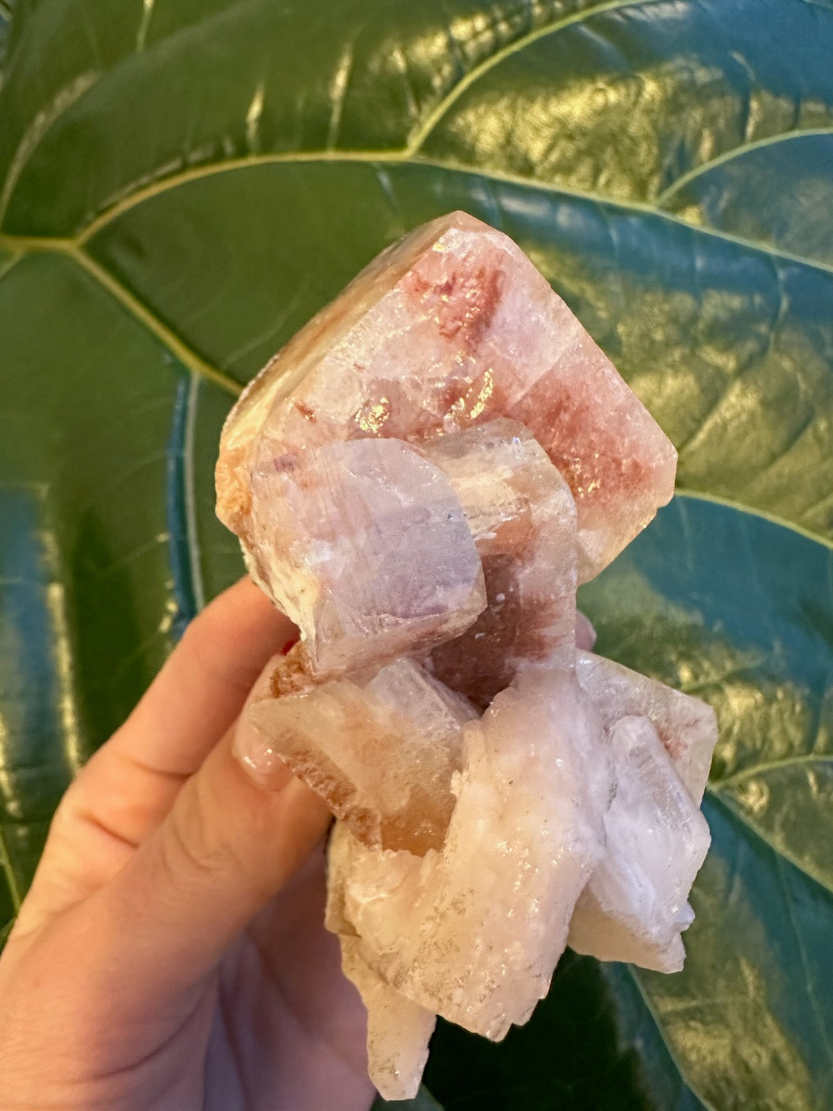 Red Apophyllite Cube on Matrix (Lg)