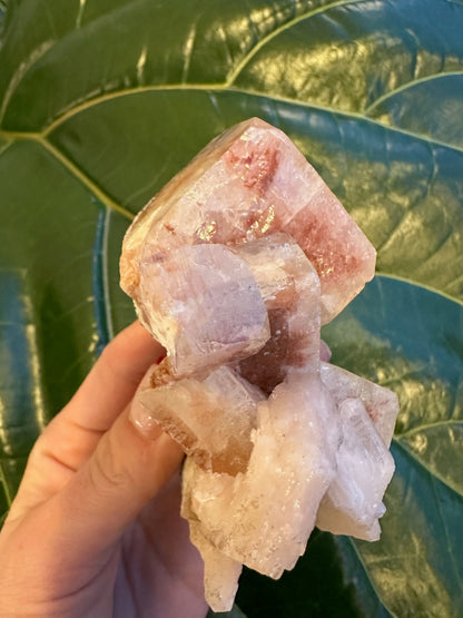 Red Apophyllite Cube on Matrix (Lg)