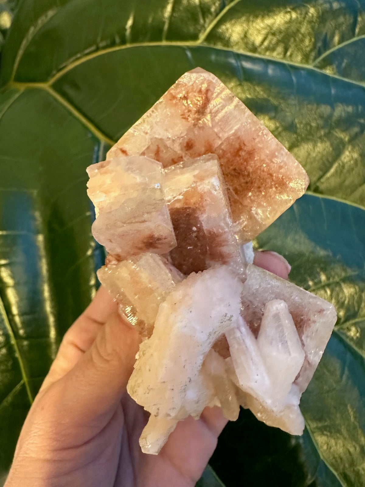 Red Apophyllite Cube on Matrix (Lg)