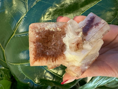 Red Apophyllite Cube (XL) from Pune, India