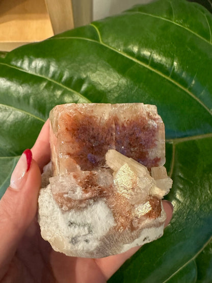 Red Apophyllite Cube (XL) from Pune, India