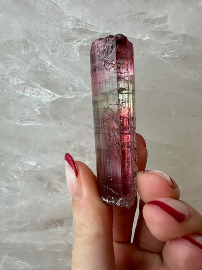 Watermelon Tourmaline from Brazil