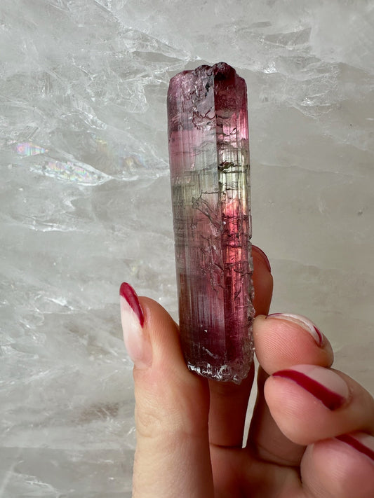 Watermelon Tourmaline from Brazil