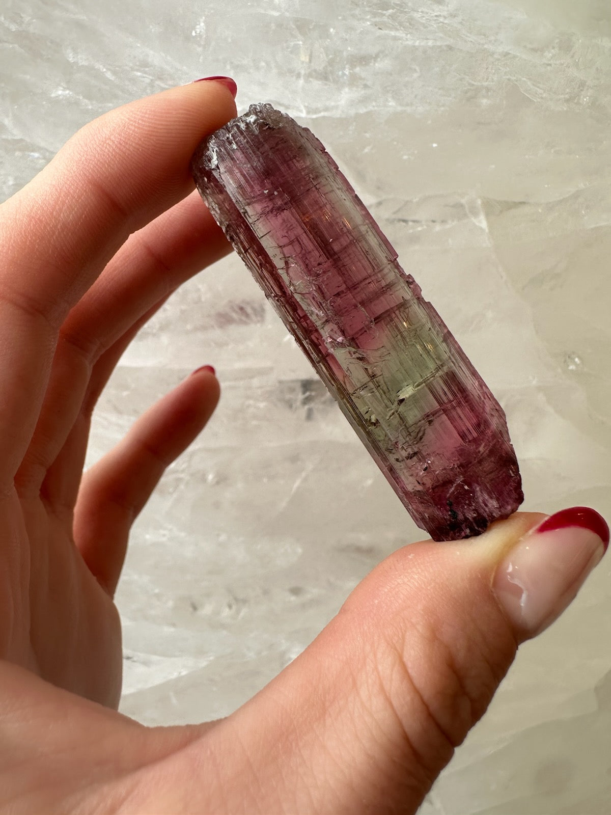 Watermelon Tourmaline from Brazil