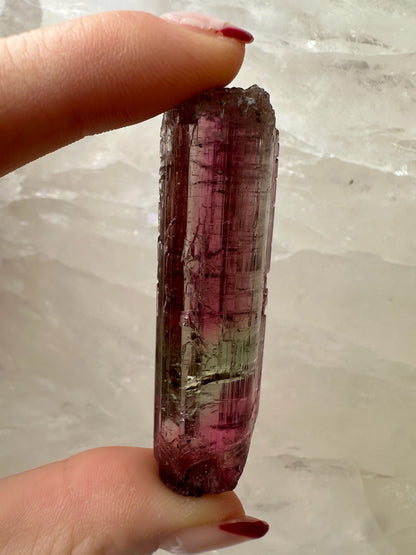Watermelon Tourmaline from Brazil