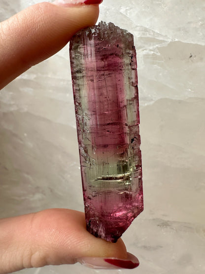 Watermelon Tourmaline from Brazil