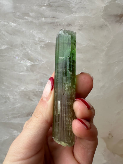 Watermelon Tourmaline Paprok, Nuristan, Afghanistan