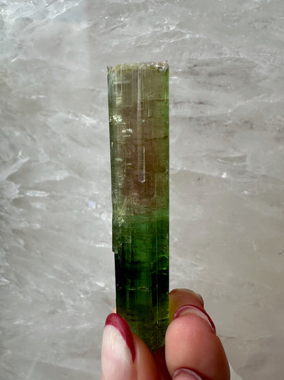 Watermelon Tourmaline Paprok, Nuristan, Afghanistan