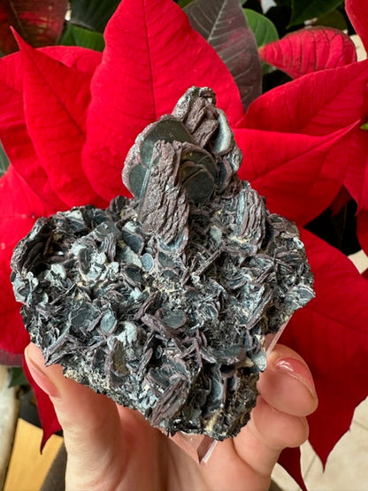 Hematite "Iron Rose" Crystal Cluster 220g