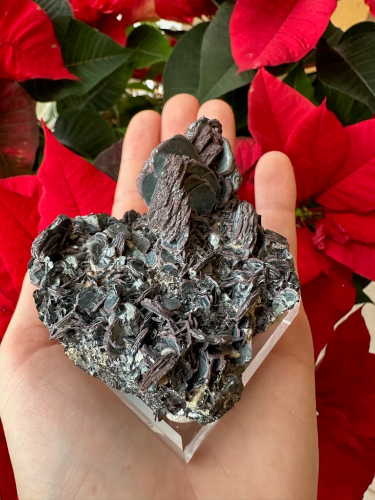 Hematite "Iron Rose" Crystal Cluster 220g
