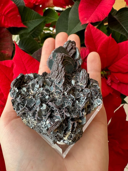 Hematite "Iron Rose" Crystal Cluster 220g