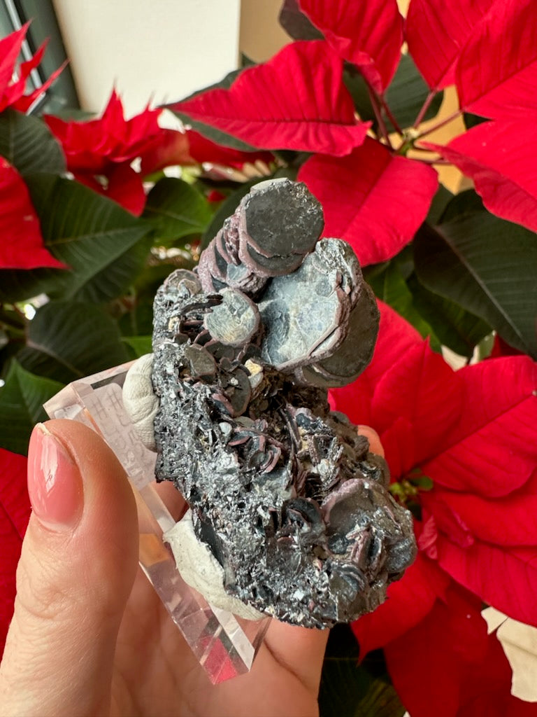 Hematite "Iron Rose" Crystal Cluster 220g