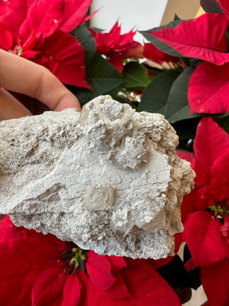 Elmwood Calcite Cluster on Matrix