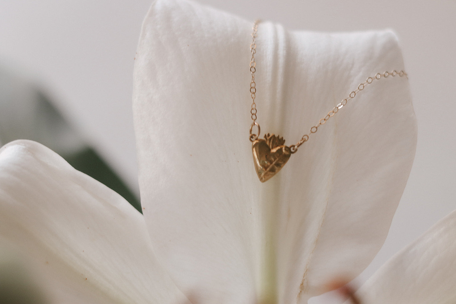 Holy Hearts™ Chaste Heart Of St. Joseph Necklace