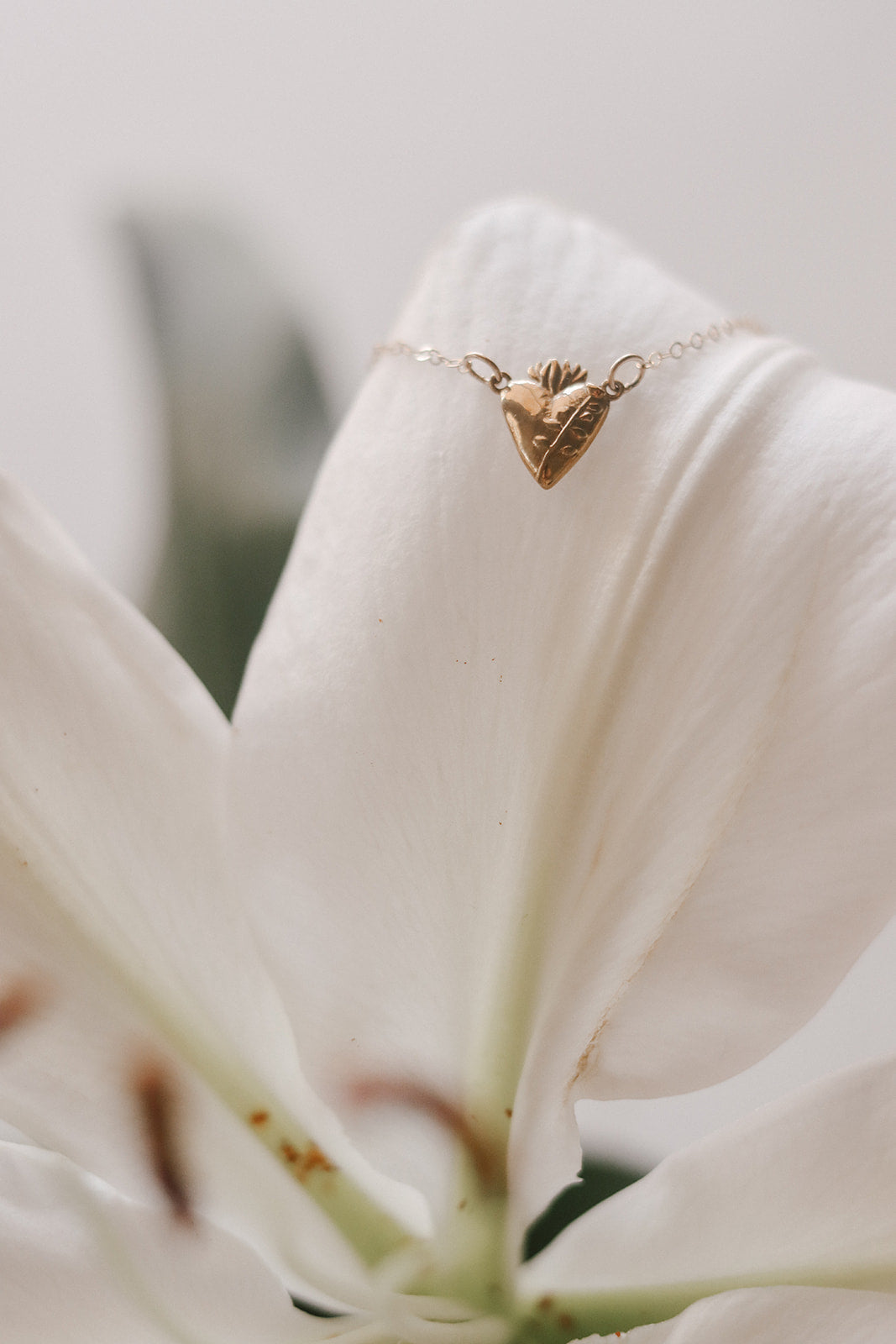 Holy Hearts™ Chaste Heart Of St. Joseph Necklace