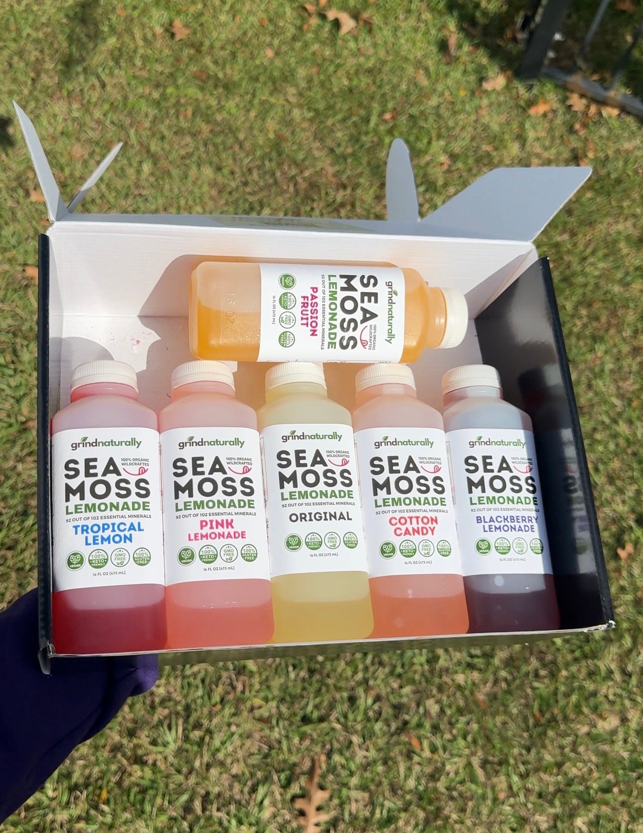 #1 Flavored Sea Moss Lemonade (16oz)