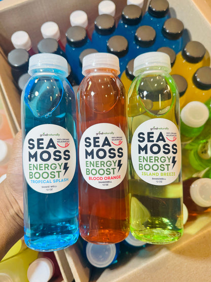 Sea Moss Energy Drink - 12oz