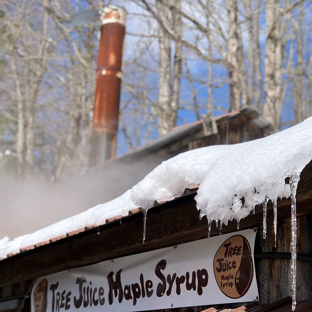 Wholesale Pure Maple Syrup