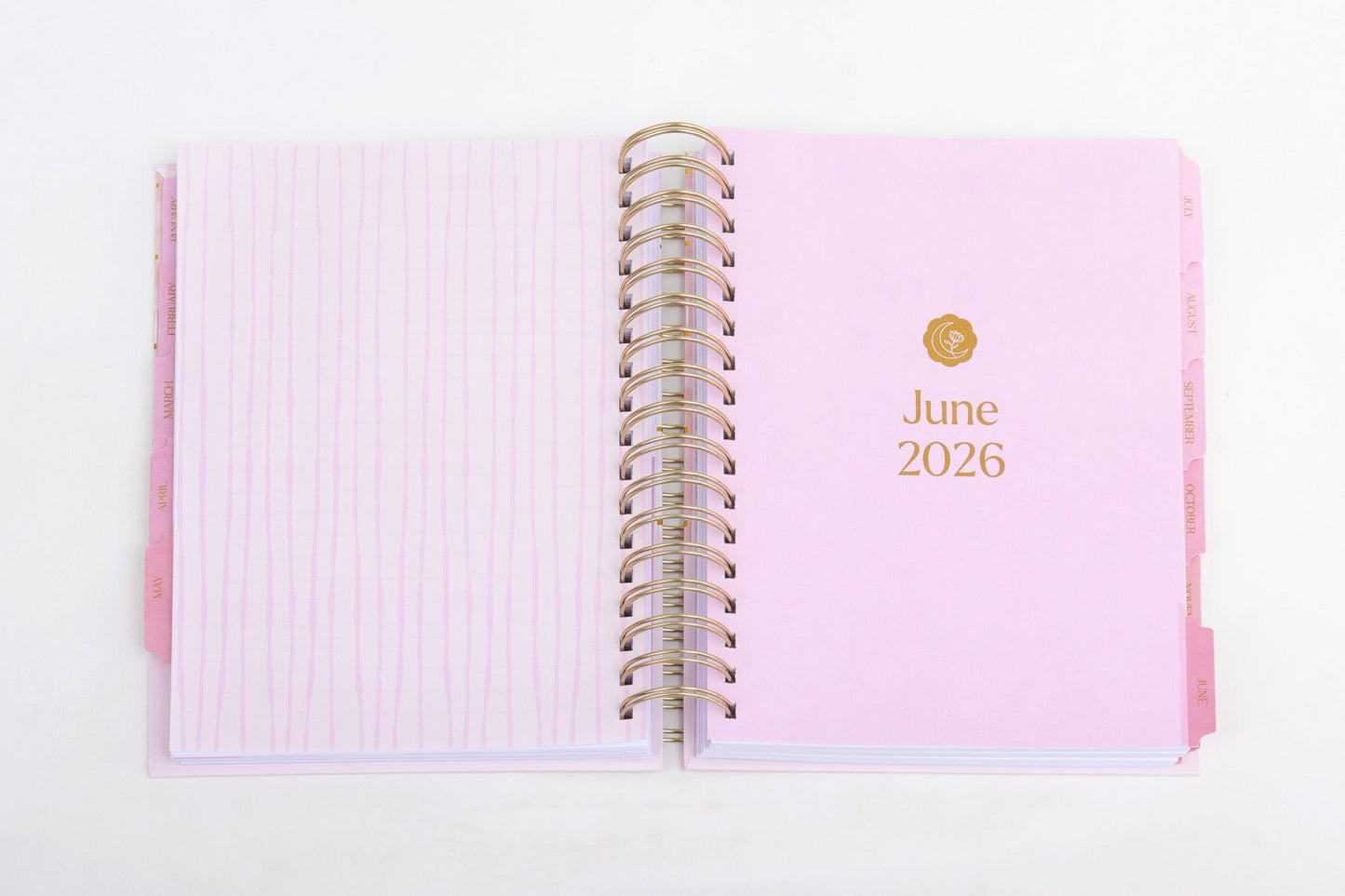 The Ultimate Planner