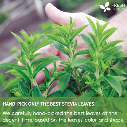 Stevia Leaf Tea Bags, 100% Natural & Pure Stevia leaves, Eco-Conscious Tea Bags, Stevia Herbal Tea. Stevia Leaf Tea. No Sugar, No Caffeine, No Gluten, Vegan