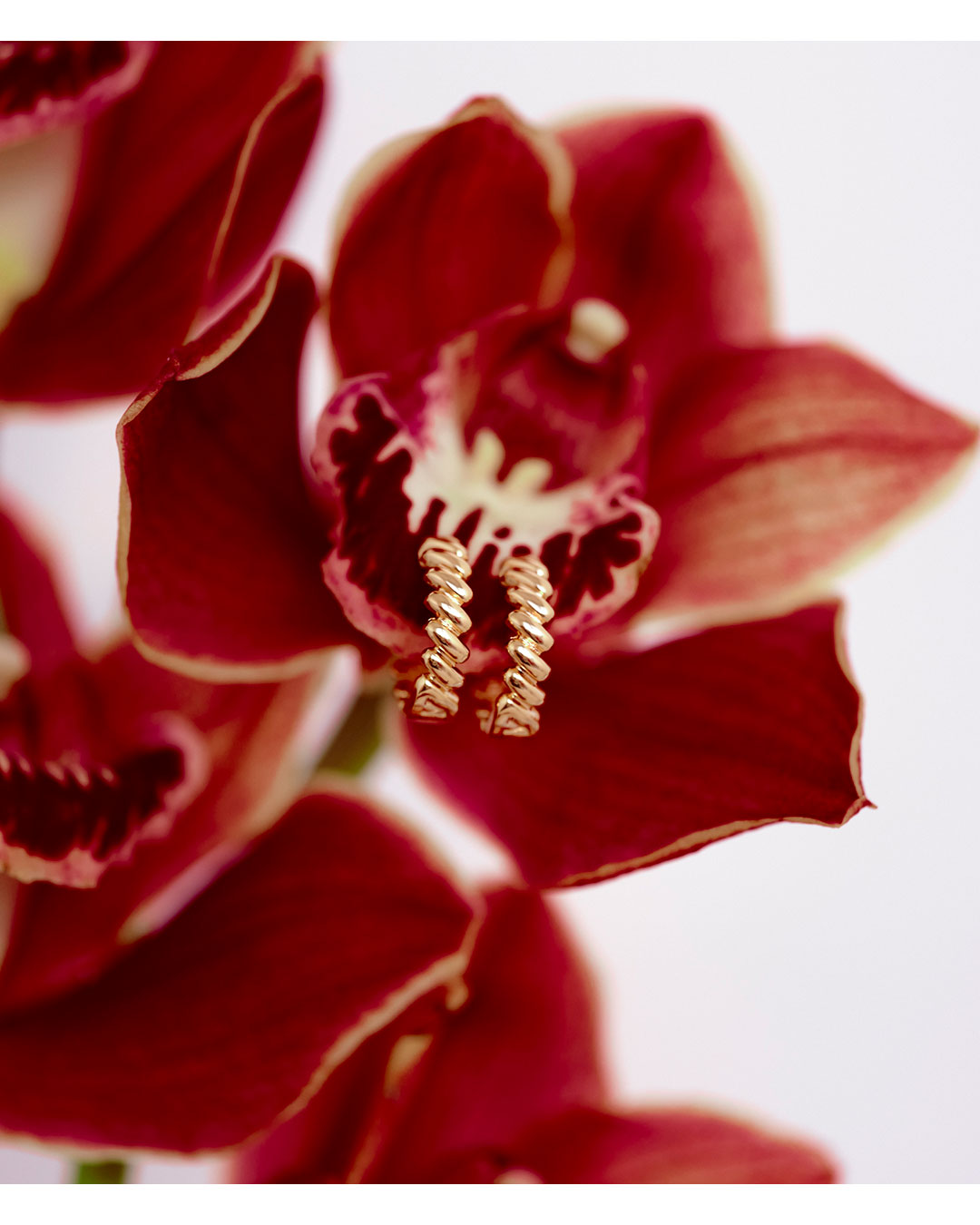 The Mini Snake Chain Hoops