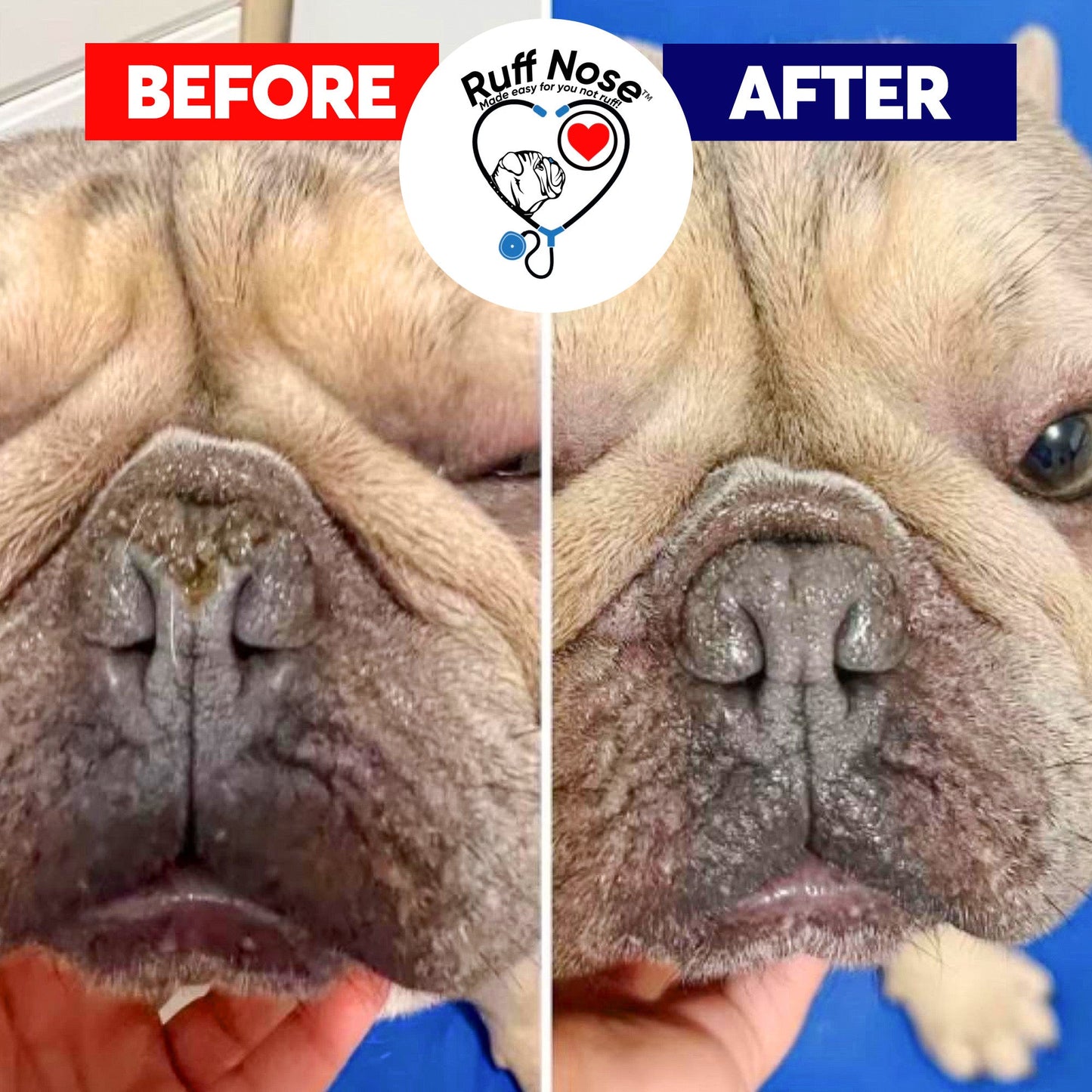 Pet nose Repair Balm- 1 oz