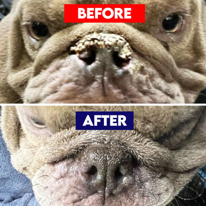 Pet Nose Repair Balm-  4 oz