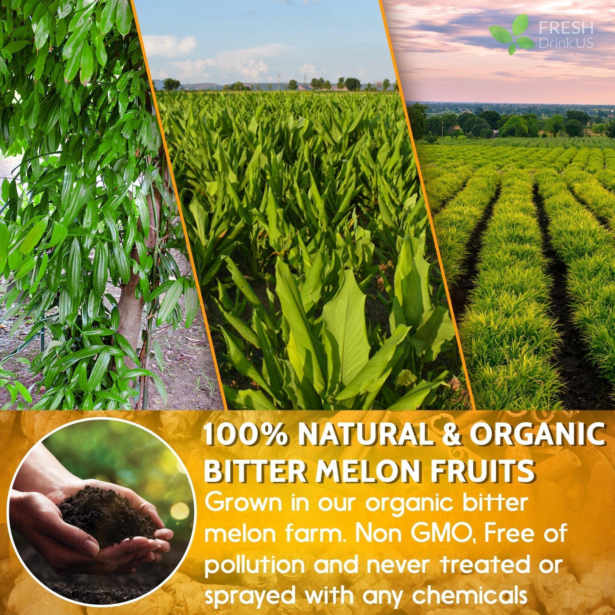 Turmeric Ginger, Cinnamon Tea, Tea Bags, 100% Natural, Hand-made, No Sugar, No Caffeine, No Gluten, Vegan