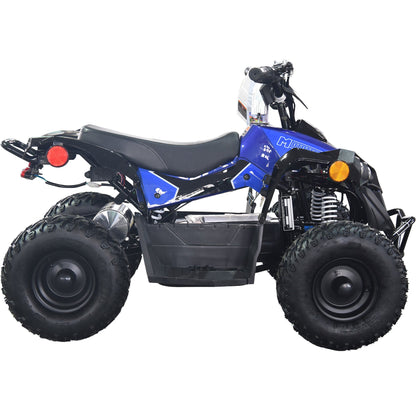 36V 1.0 kW Lead Acid ATV