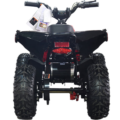 36V 1.0 kW Lead Acid ATV