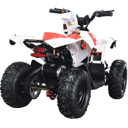 36V 1.0 kW Lead Acid ATV