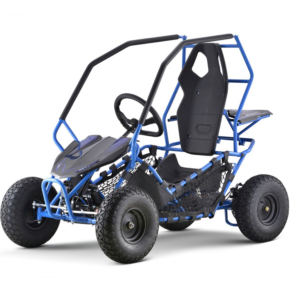 36V 1.0 kW Lead Acid Go Kart
