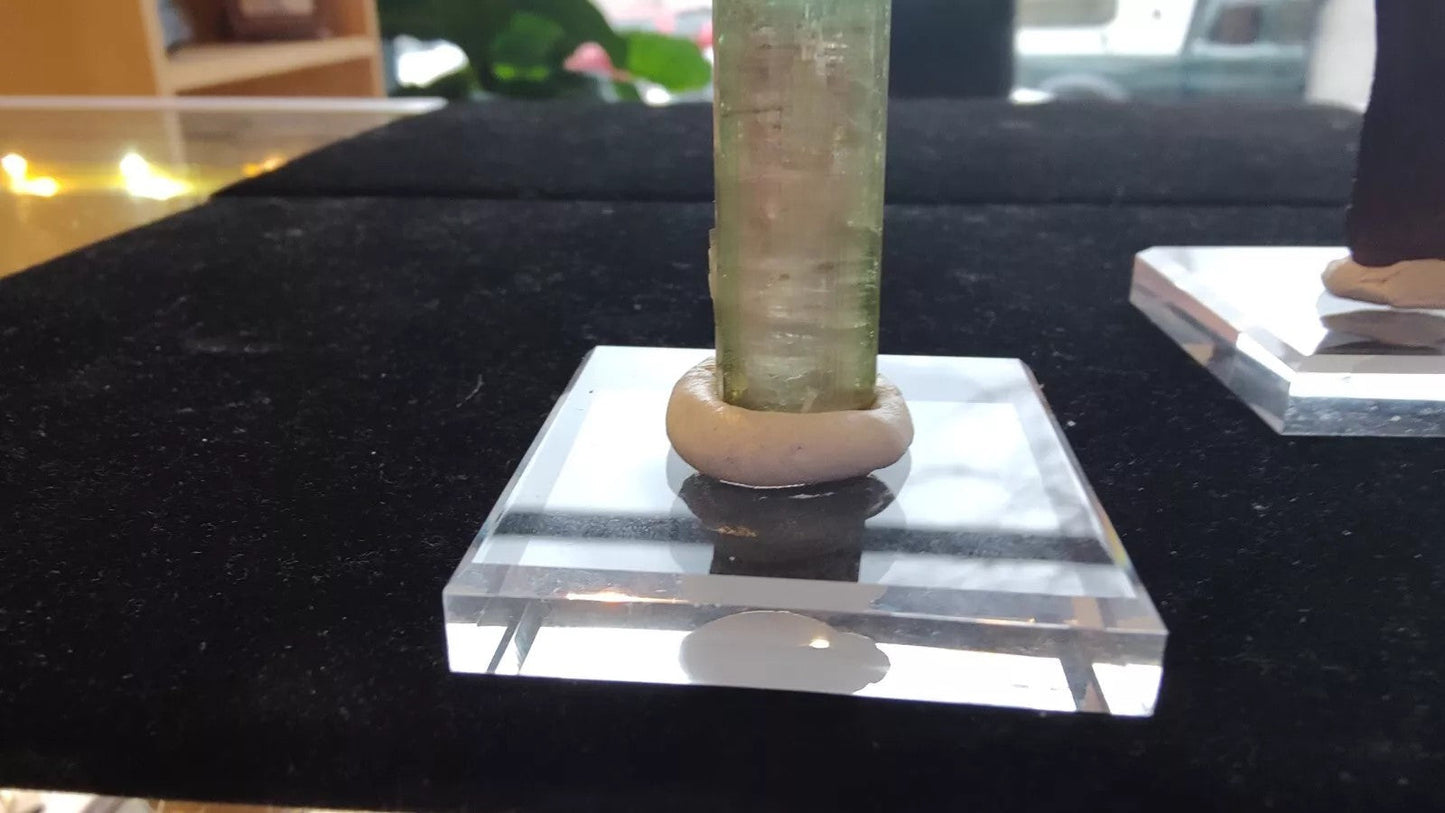 Geo-Tac Mineral and Fossil Mounting Display Putty